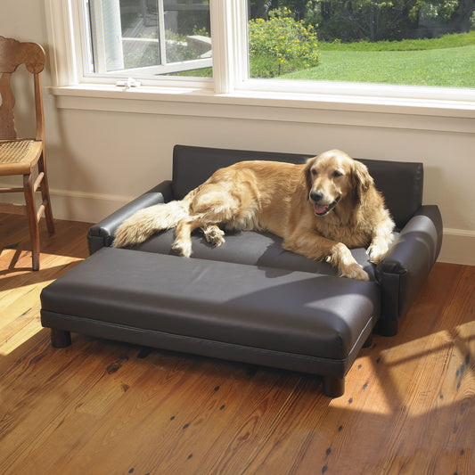 5 Best Leather Couches For Dogs At CozyLiving