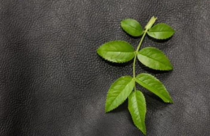 {{block.settings.image.alt}}